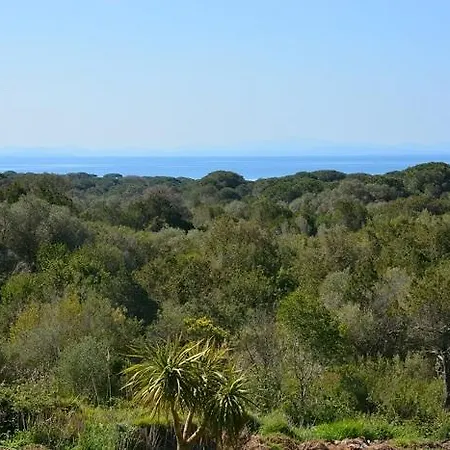Villa Palmiers De Palombaggia Porto-Vecchio (Corsica)